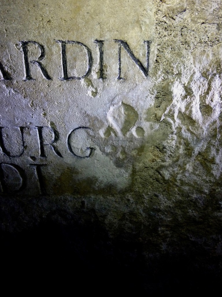 P1030582